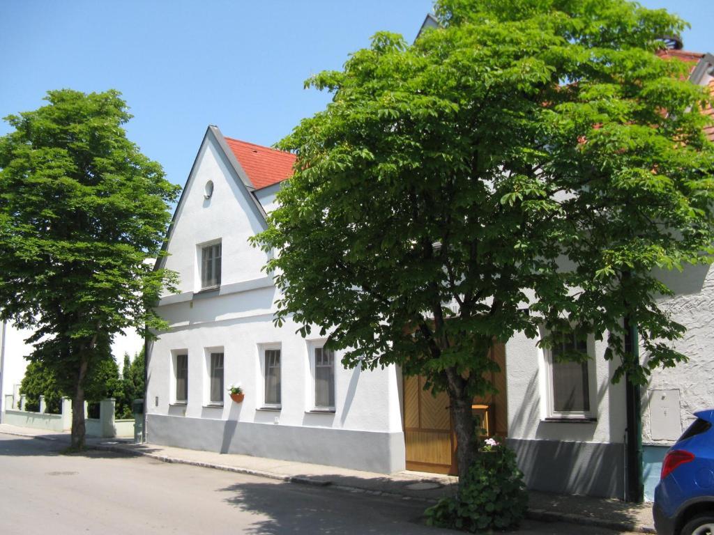 Stieglerhof Kg -Apartments Illmitz- Eksteriør bilde